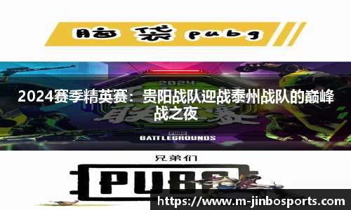 2024赛季精英赛：贵阳战队迎战泰州战队的巅峰战之夜